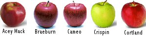 Acey Mack, Braeburn, Cameo, Crispin and Cortland apples.