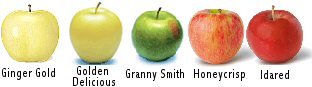 Ginger Gold, Golden Delicious, Granny Smith, Honeycrisp and Idared varieties