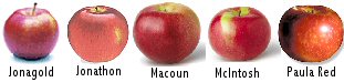 Jonagold, Jonathon, Macoun, McIntosh and Paula Red varieties