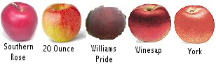 Southern Rose, 20 Ounce, Williams Pride, Winesap and York varieties